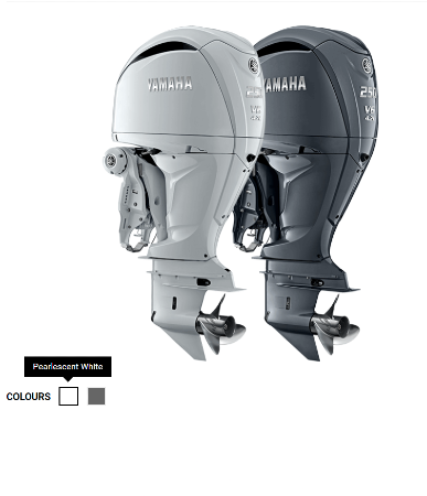 Screenshot 2024-07-01 121418 F250S WHITE